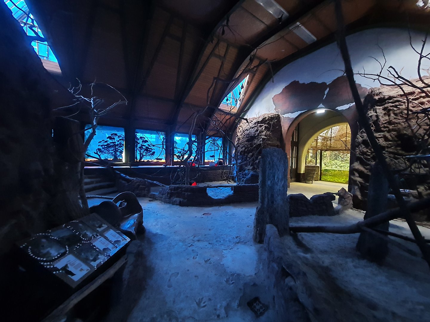 Australian-themed nocturnal animal walk through