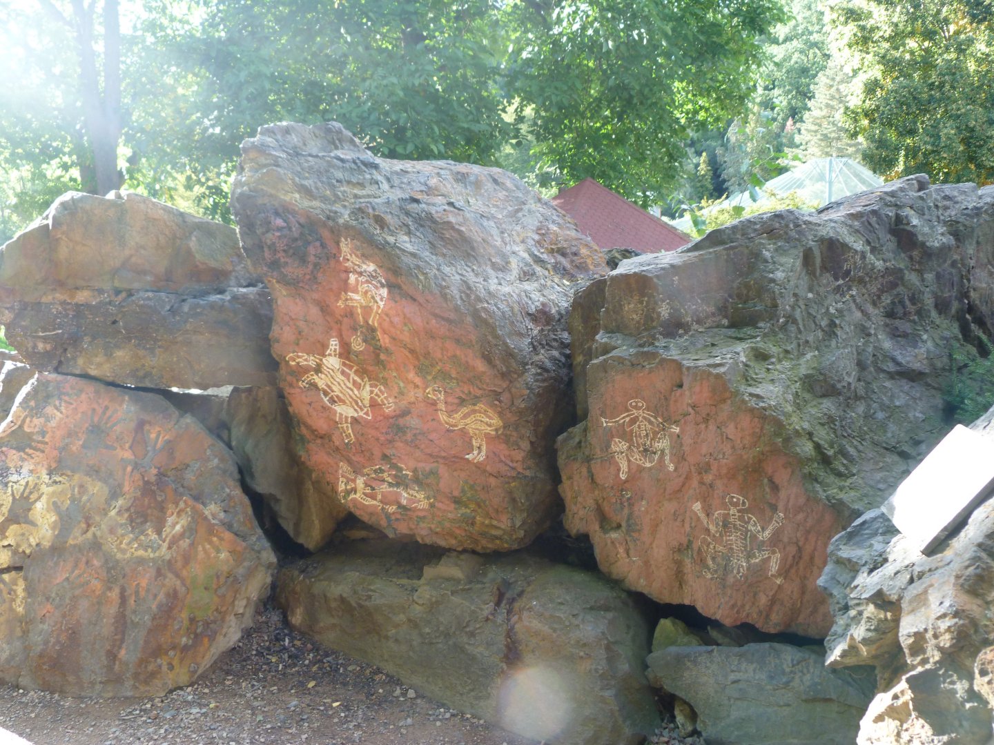 Australian themeing -Zoo Plzeň (2025)