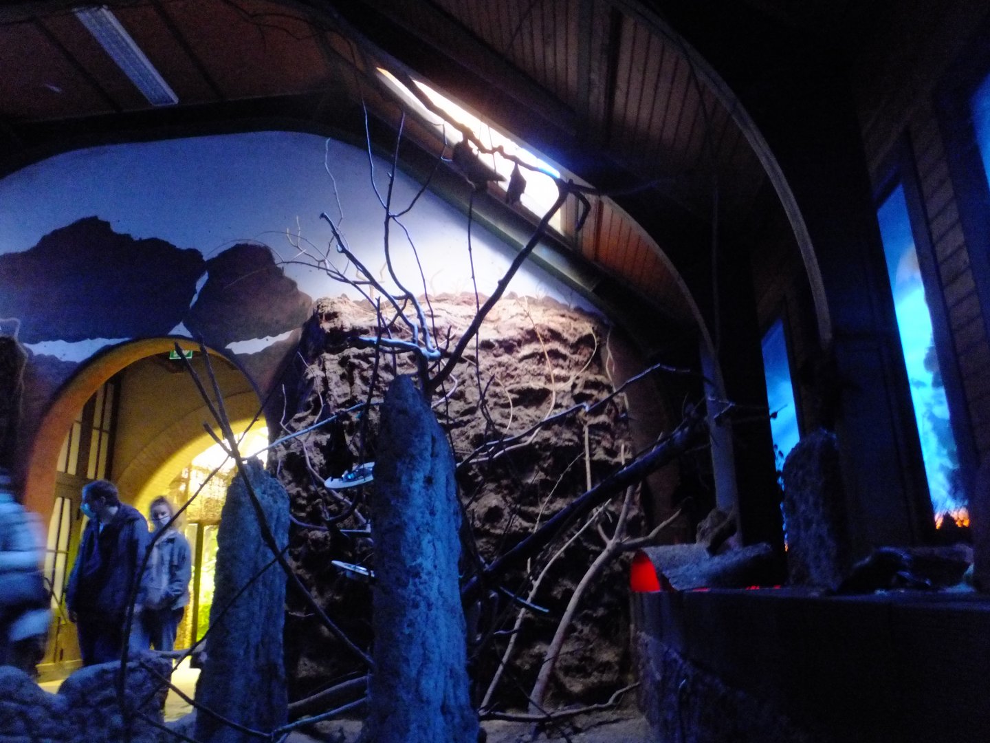 Australian Twilight 1.