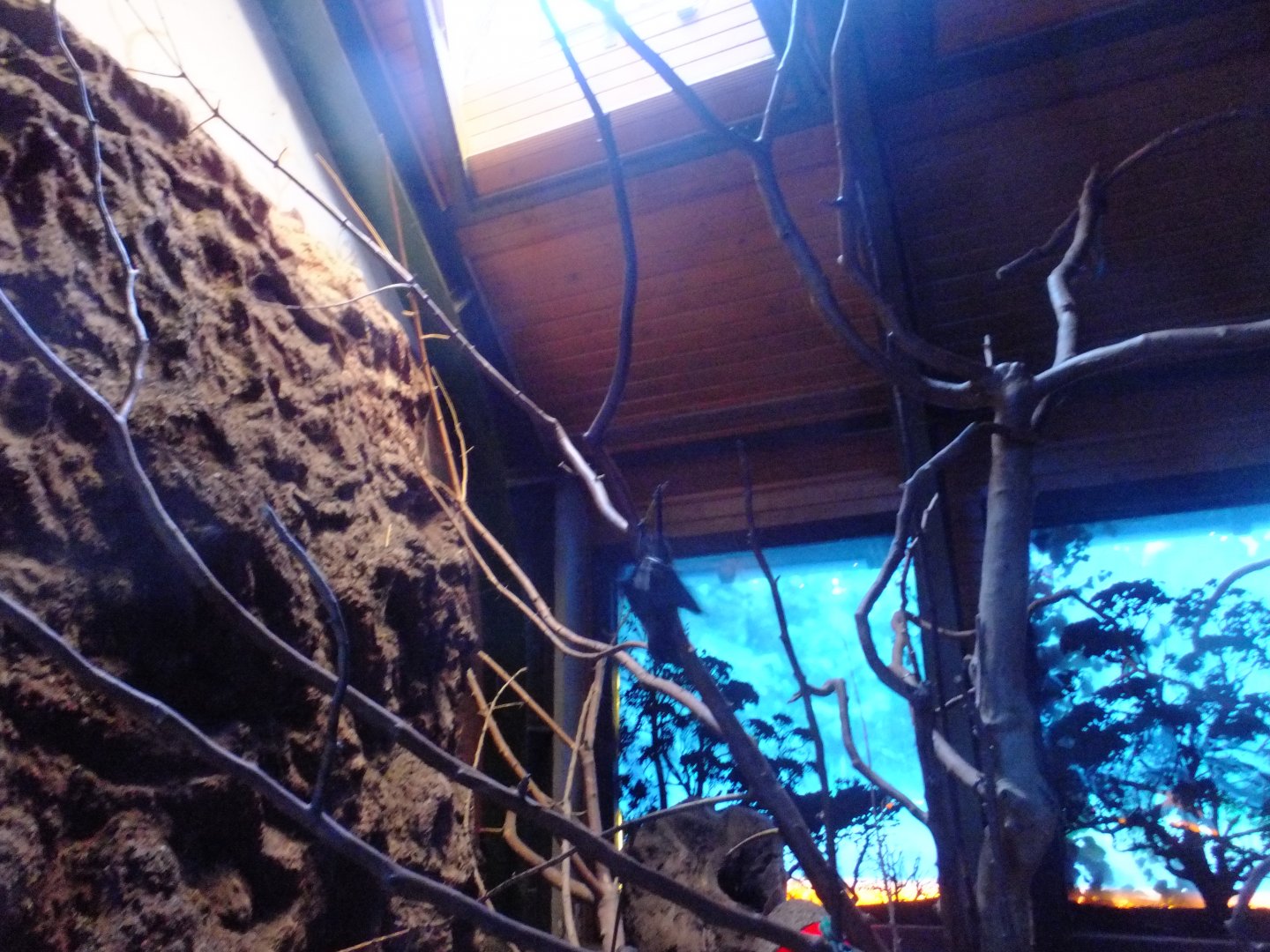 Australian Twilight 3.