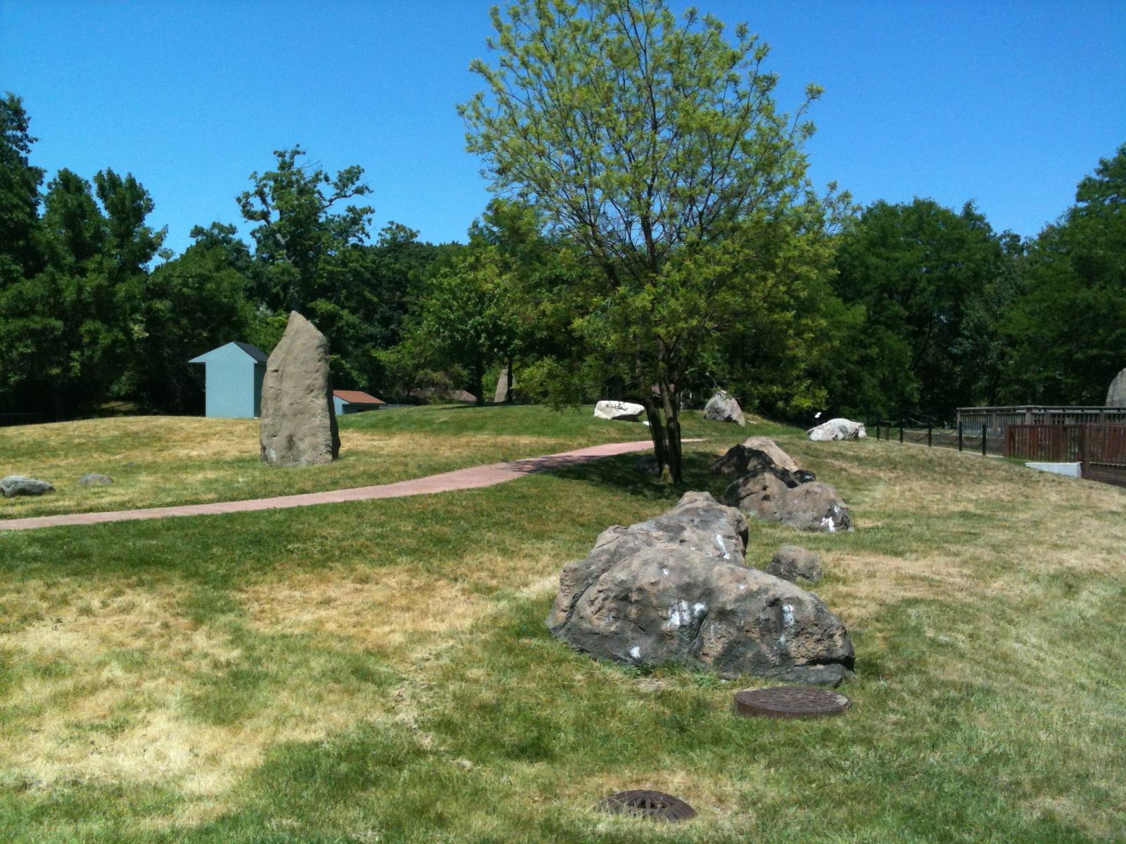 Australian Walk-a-bout