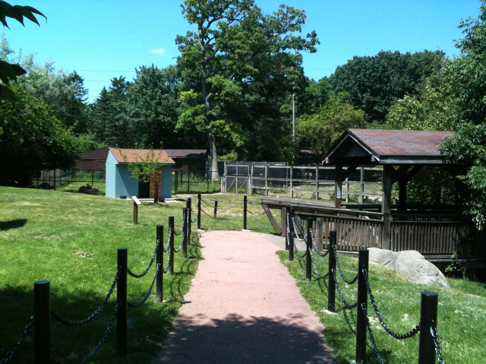 Australian Walk-a-bout: