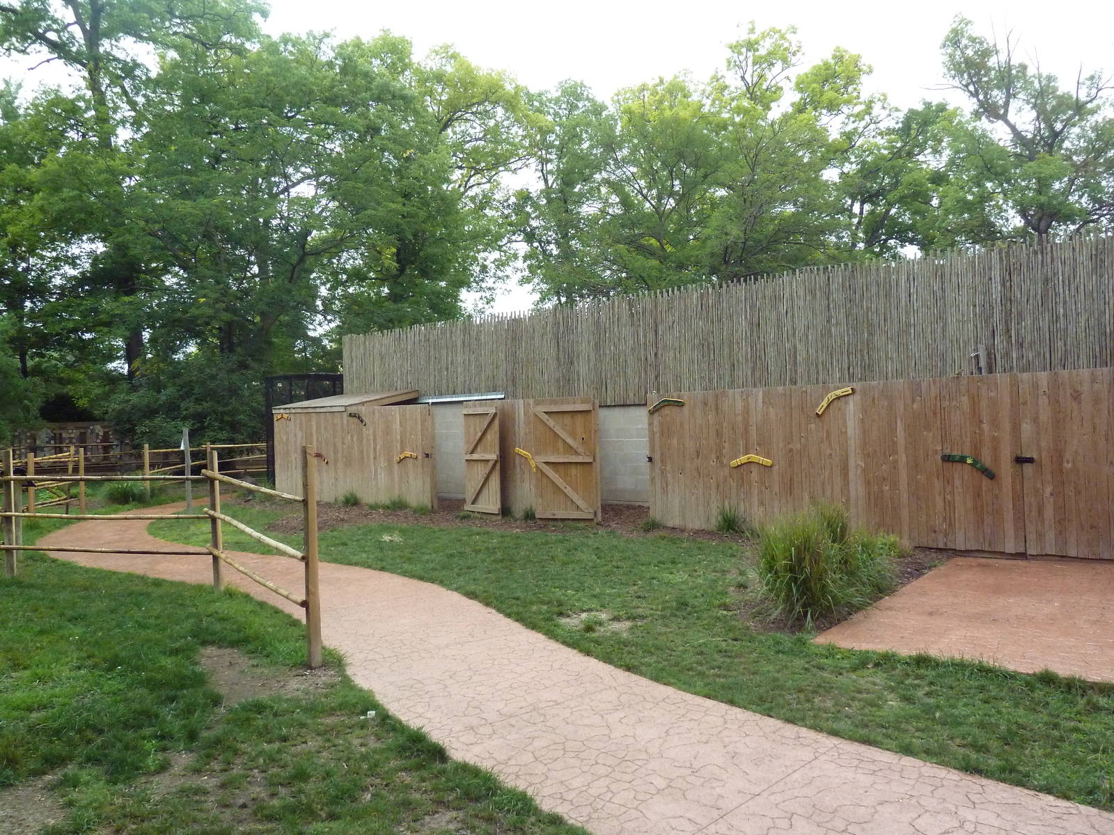 Australian Walk-About