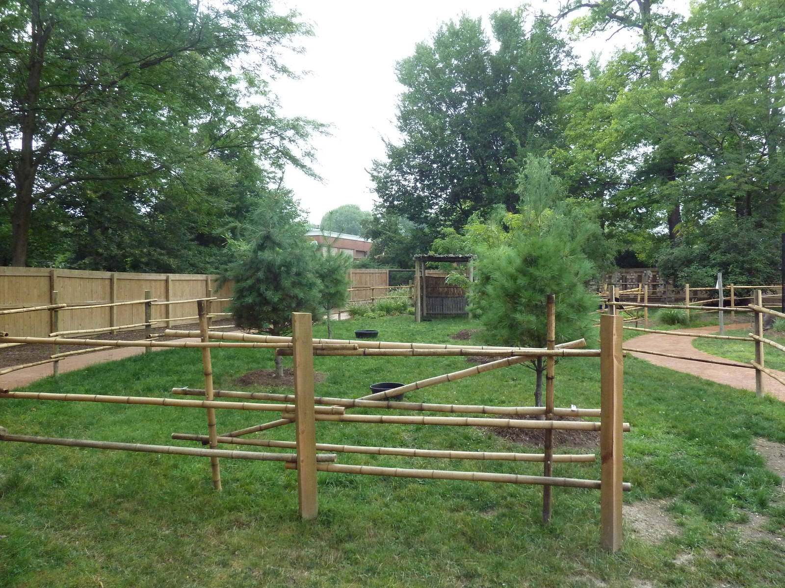 Australian Walk-About