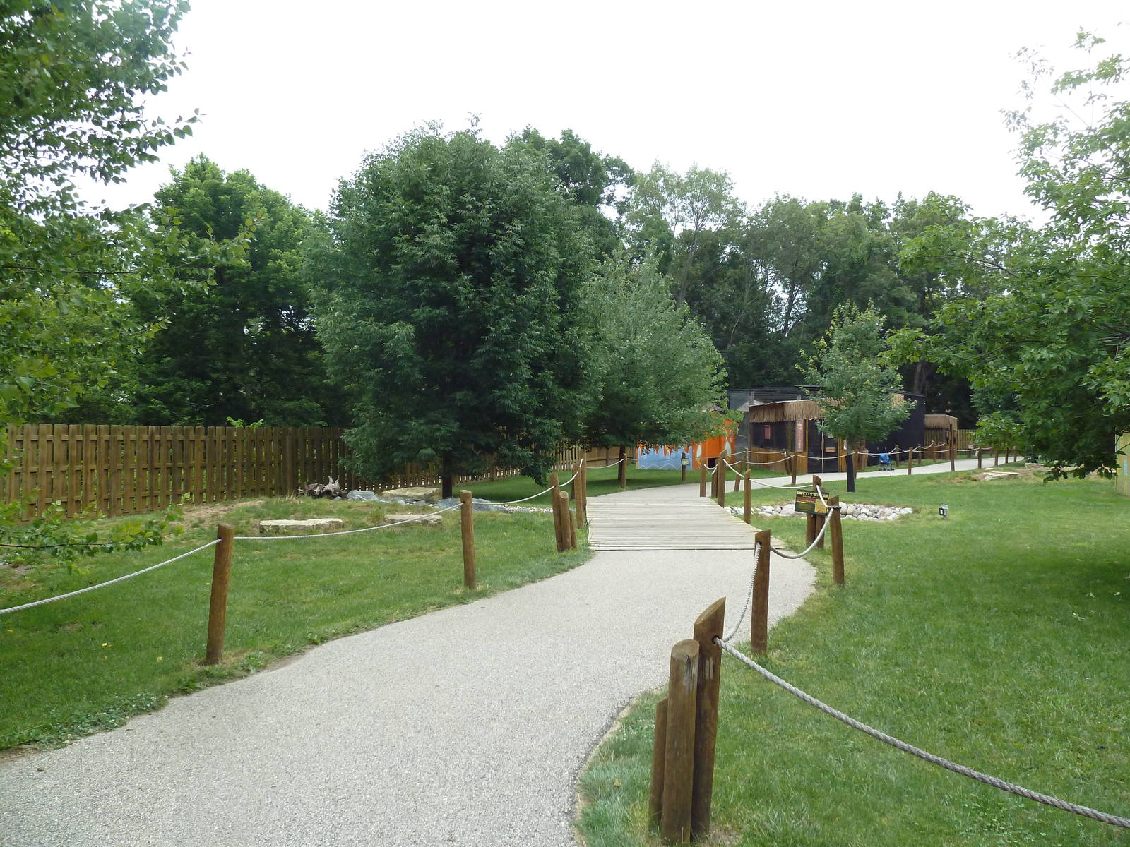 Australian Walk-About