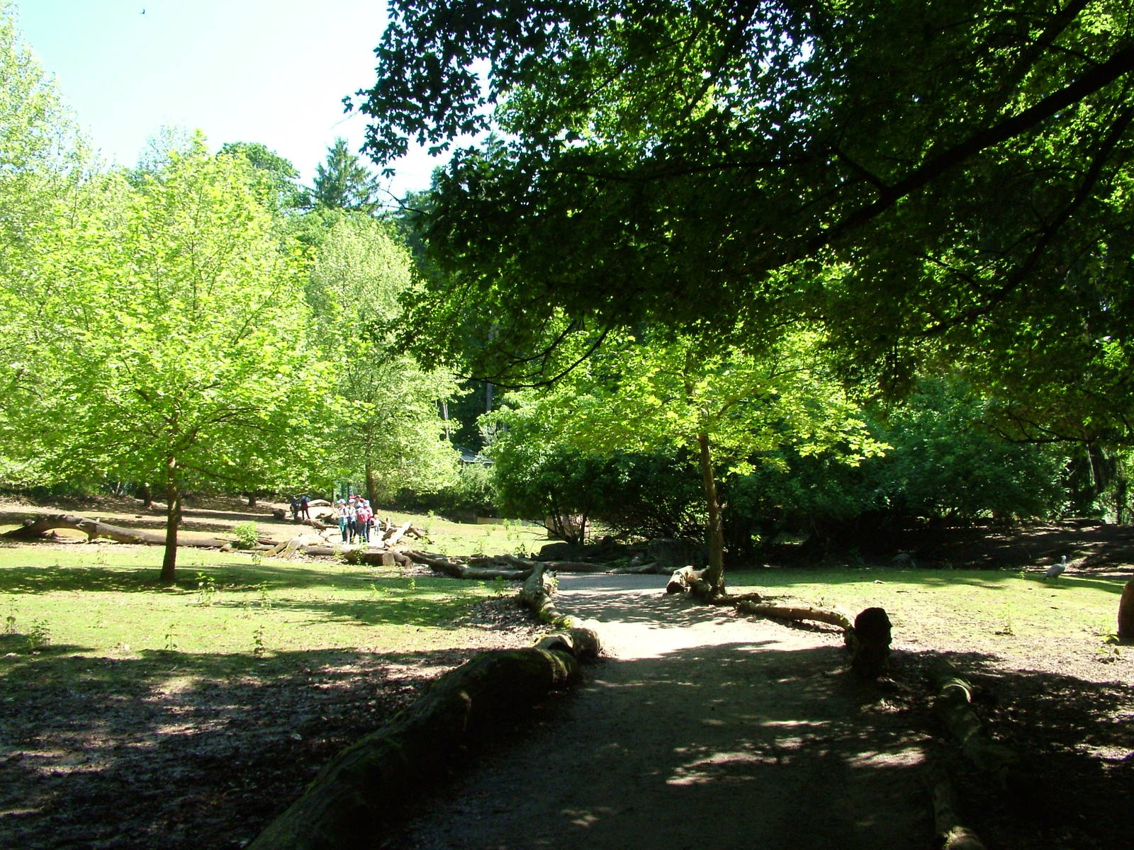 Australian Walk-through at Zlin, 28/05/10
