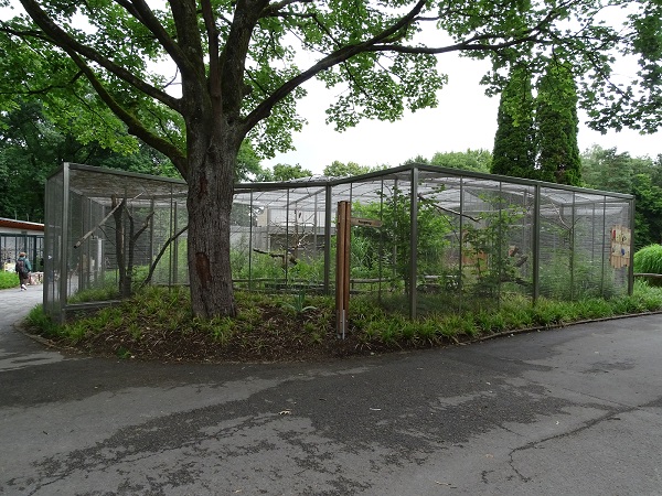 Australian walk-through aviary (07/22)