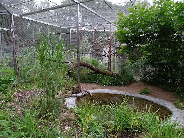 Australian walk-through aviary (07/22)