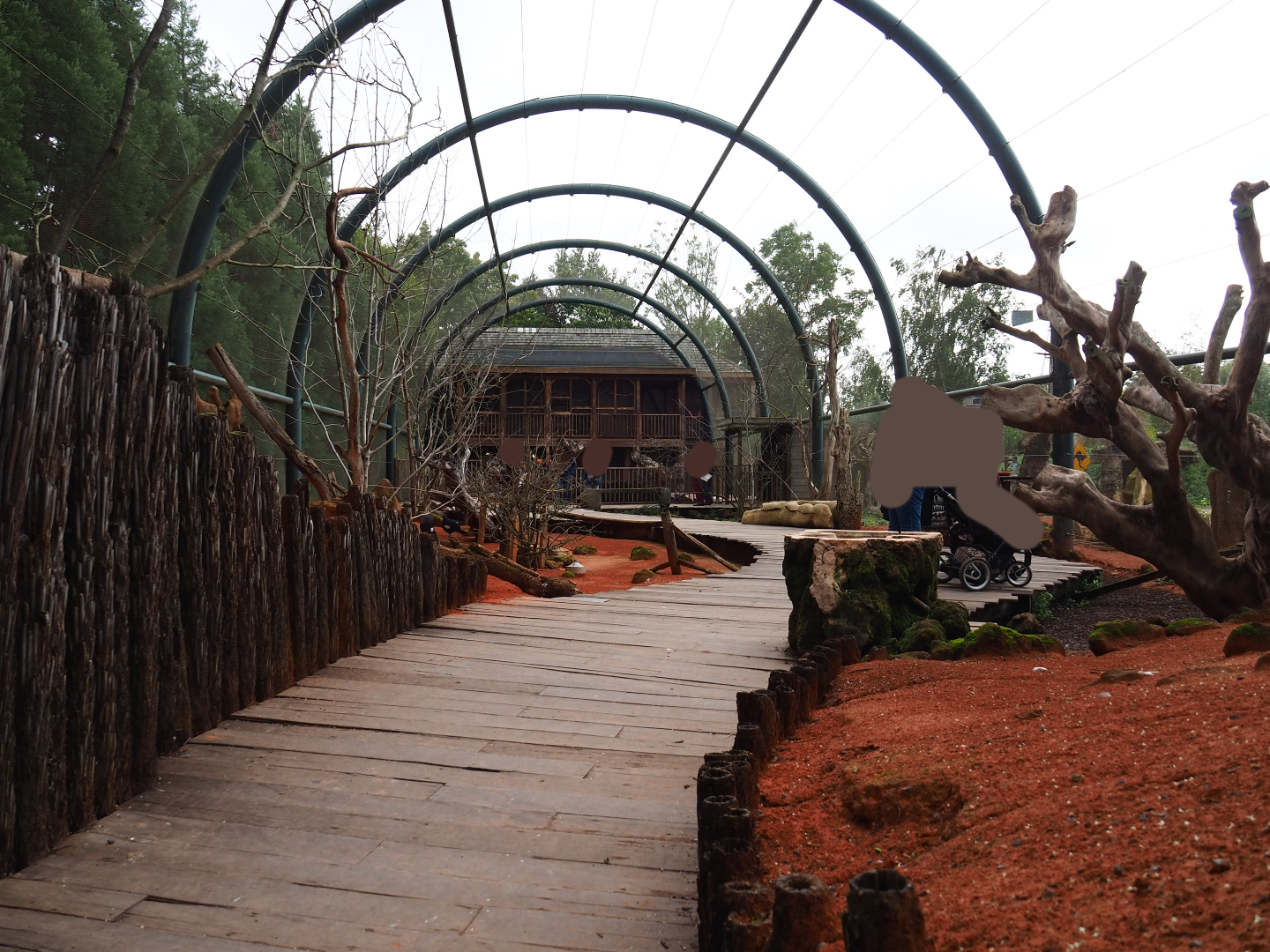 Australian walk-through aviary, 2019-10-04