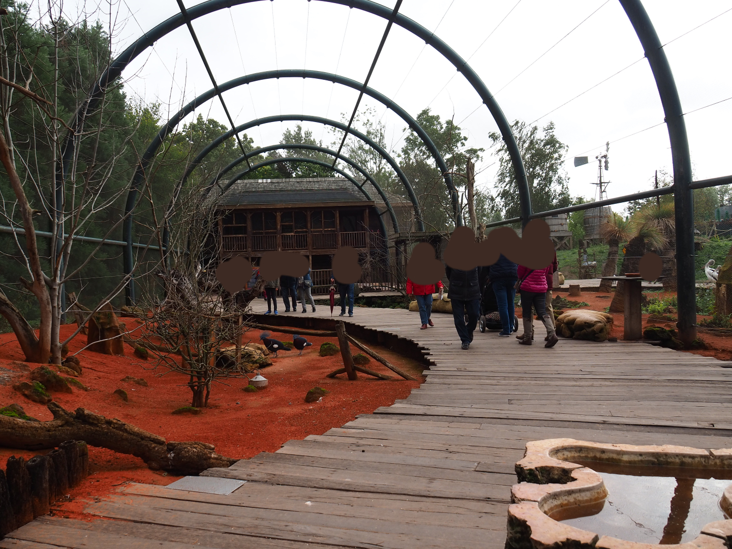 Australian walk-through aviary, 2019-10-04