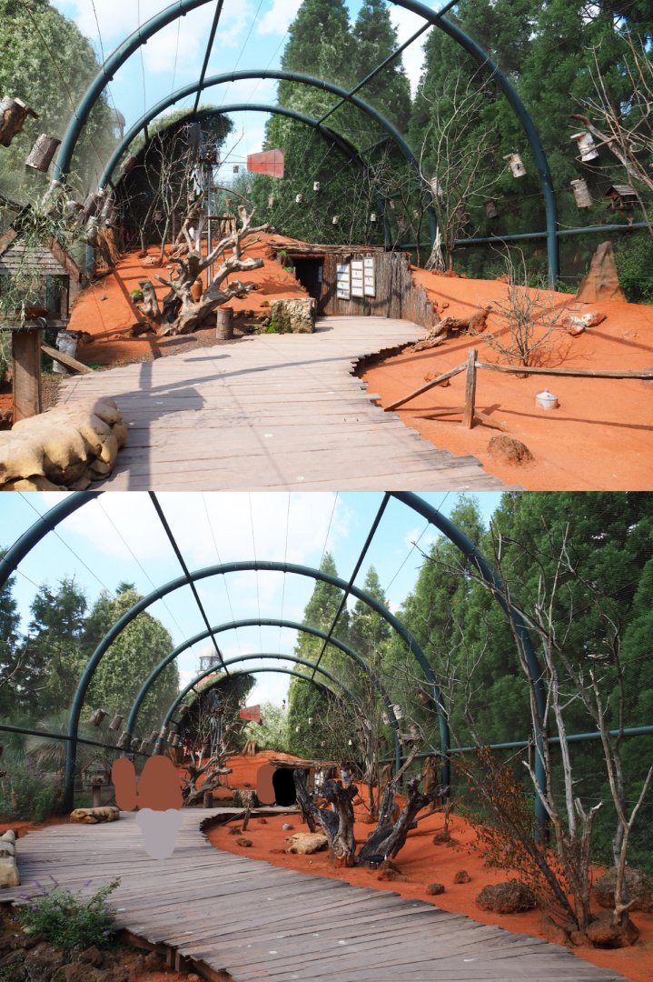 Australian walk-through aviary, 2020-09-02