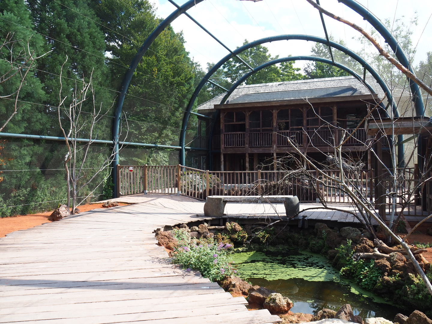 Australian walk-through aviary, 2020-09-02