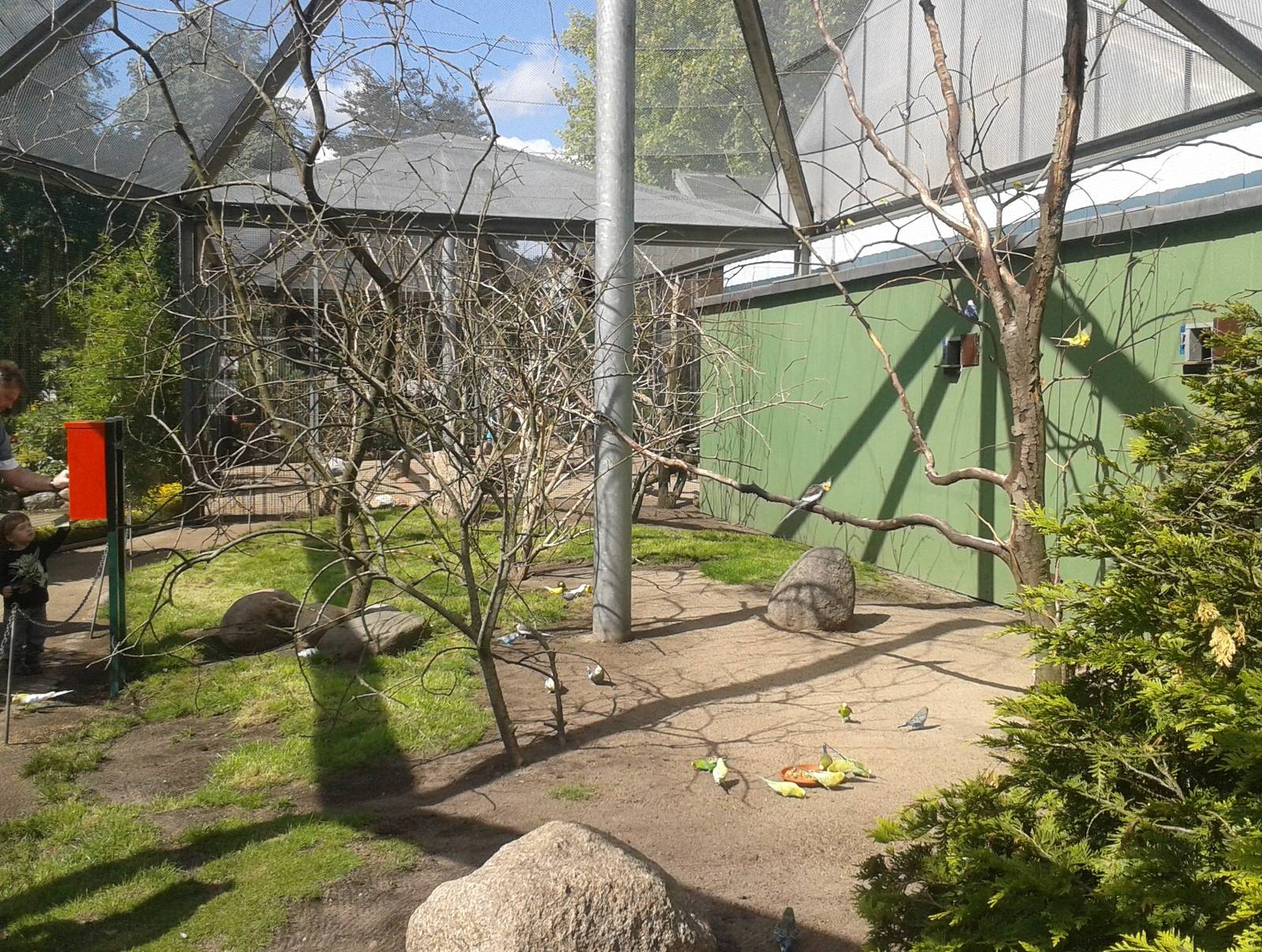 Australian walk through aviary