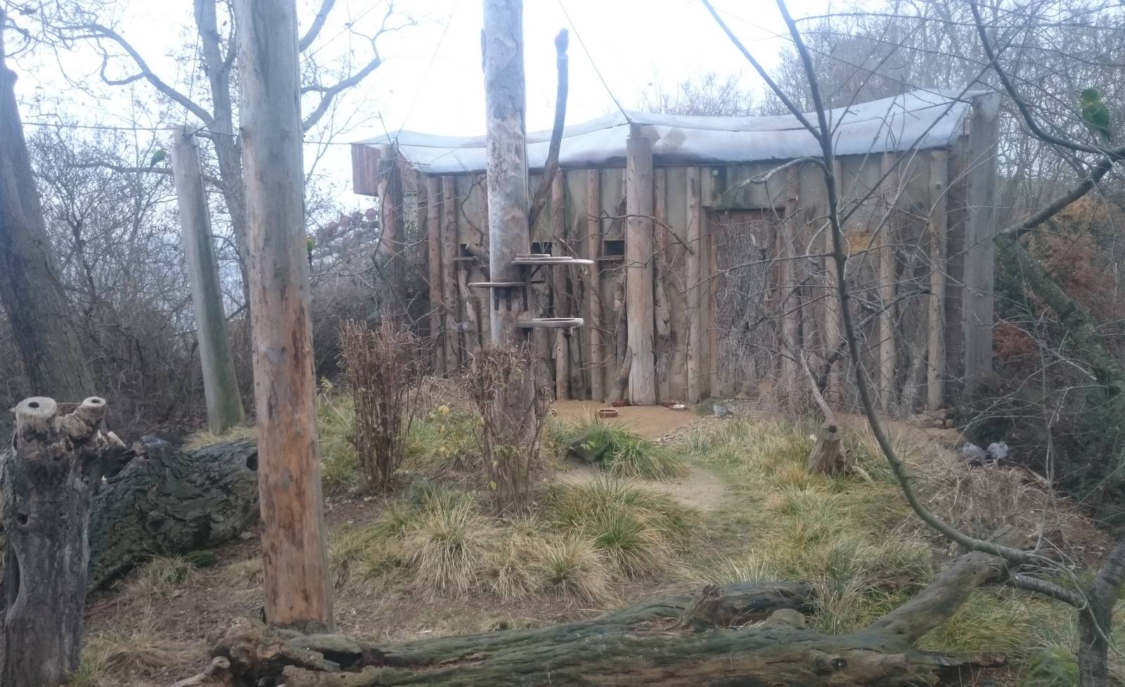 Australian walk-through aviary