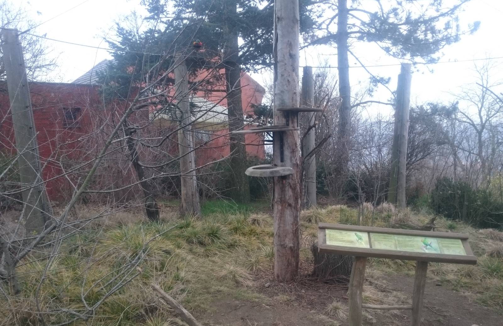 Australian walk-through aviary