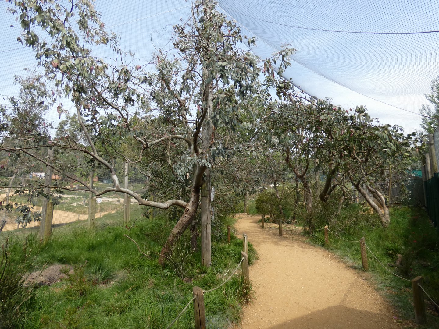 Australian walk-through aviary