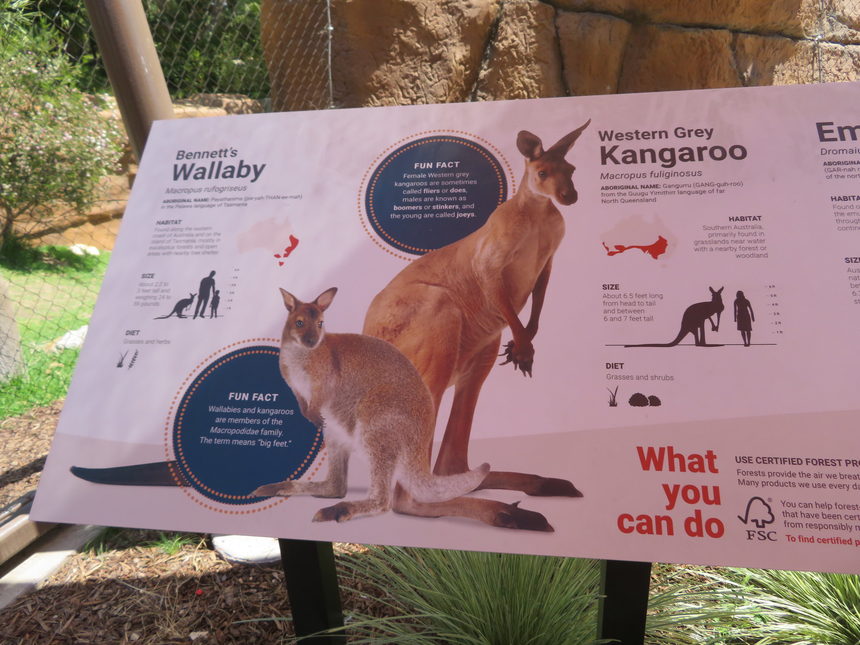 Australian Walk-through Signage