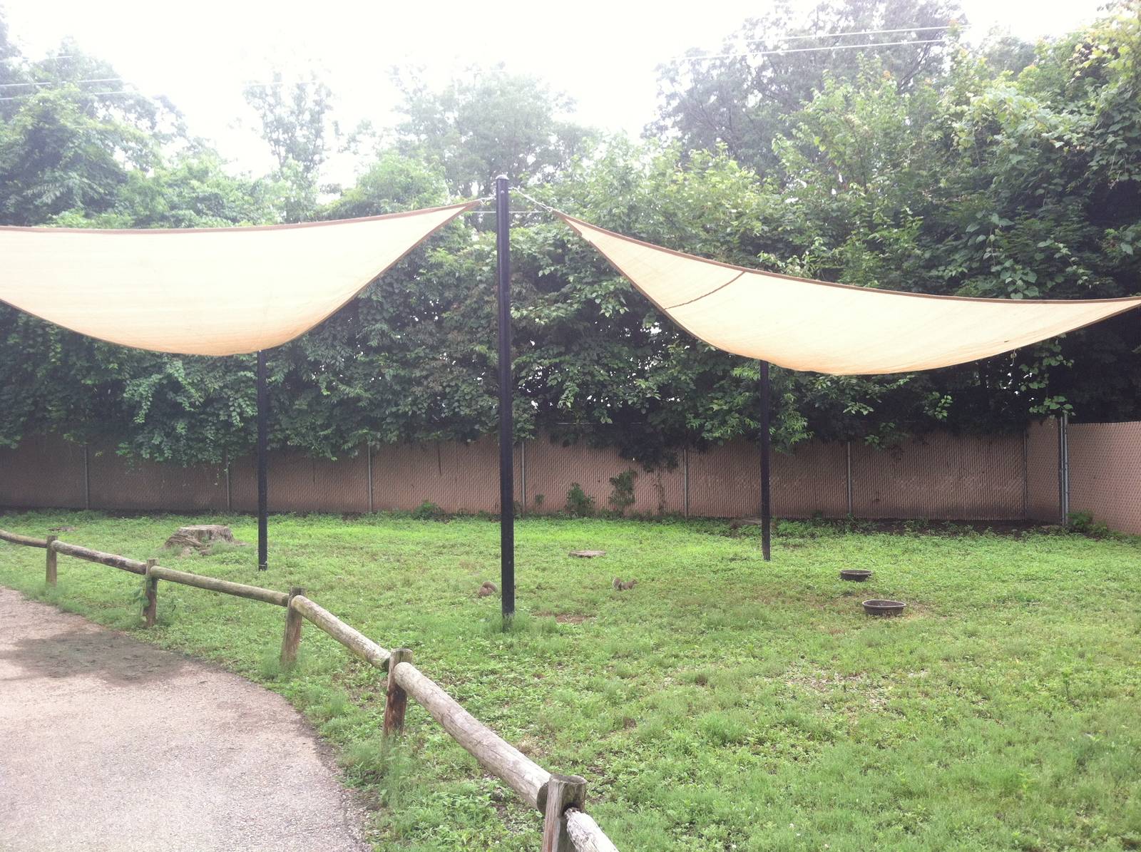 Australian Walk-Through