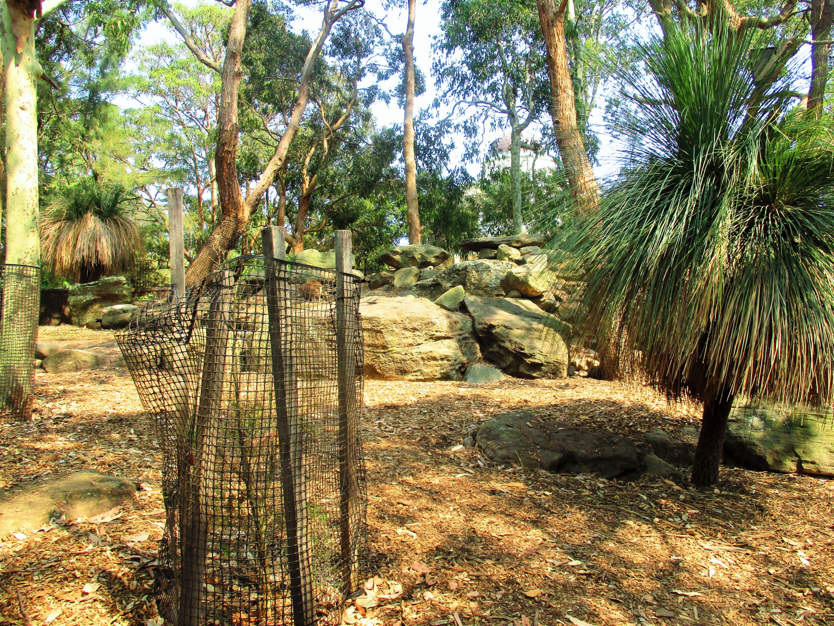 Australian Walk-thru