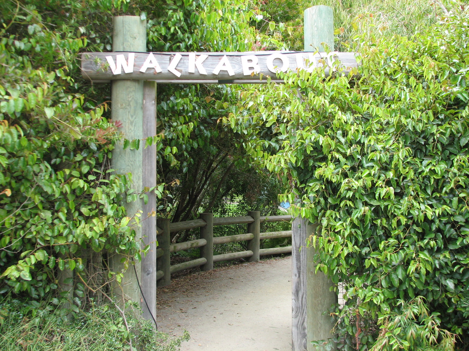 Australian Walkabout - Entry