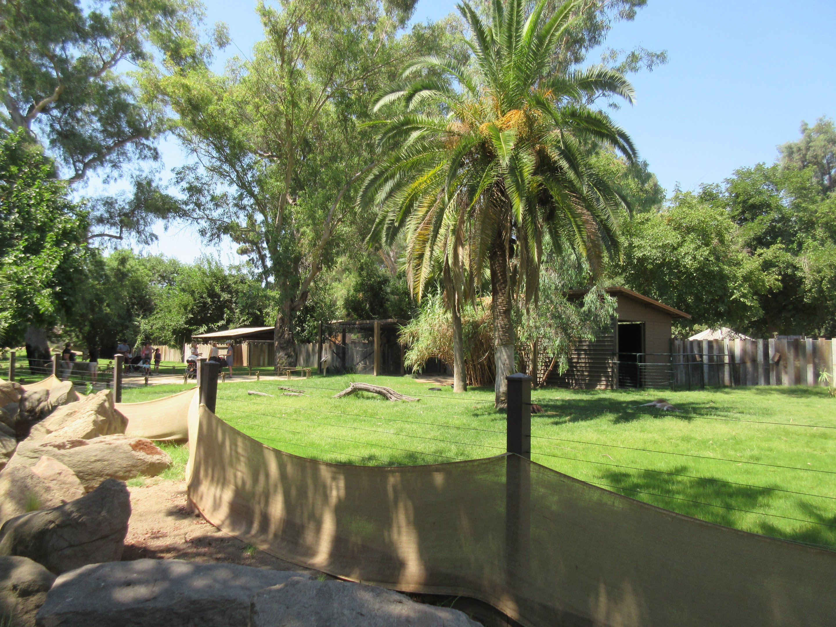 Australian Walkabout (New in September 2016)