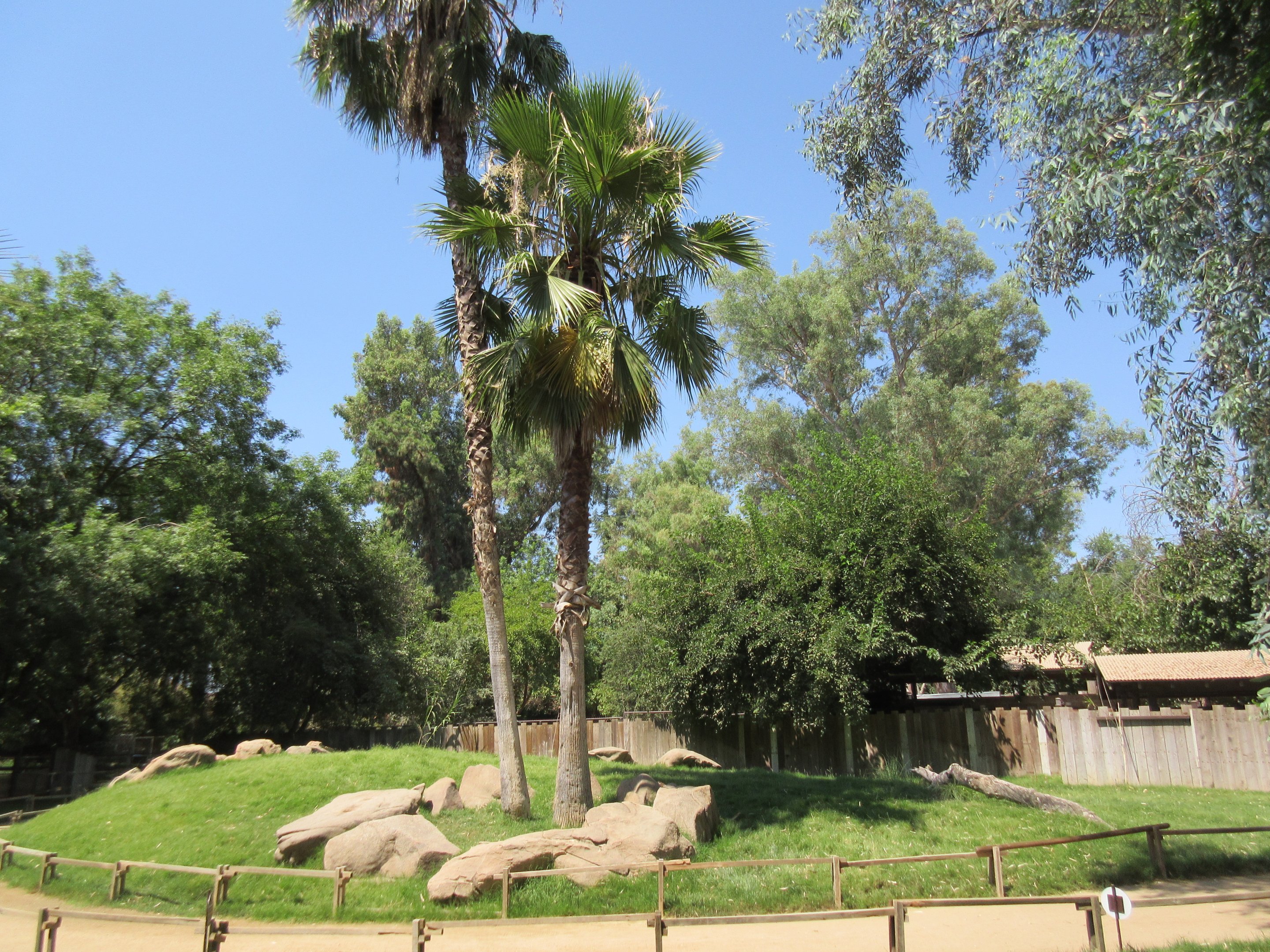 Australian Walkabout (New in September 2016)