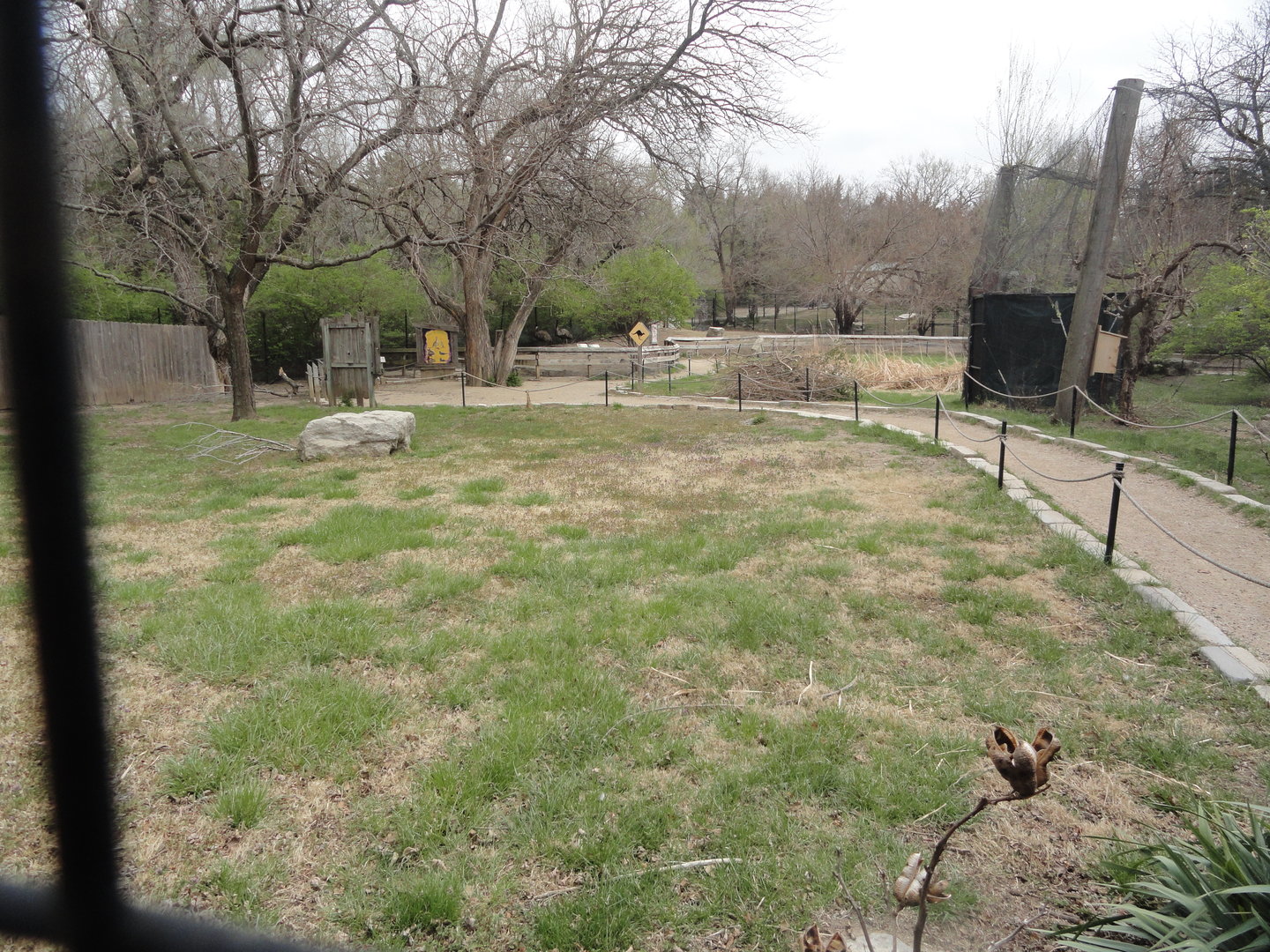 Australian Walkabout - Red-necked Wallaby & Emu