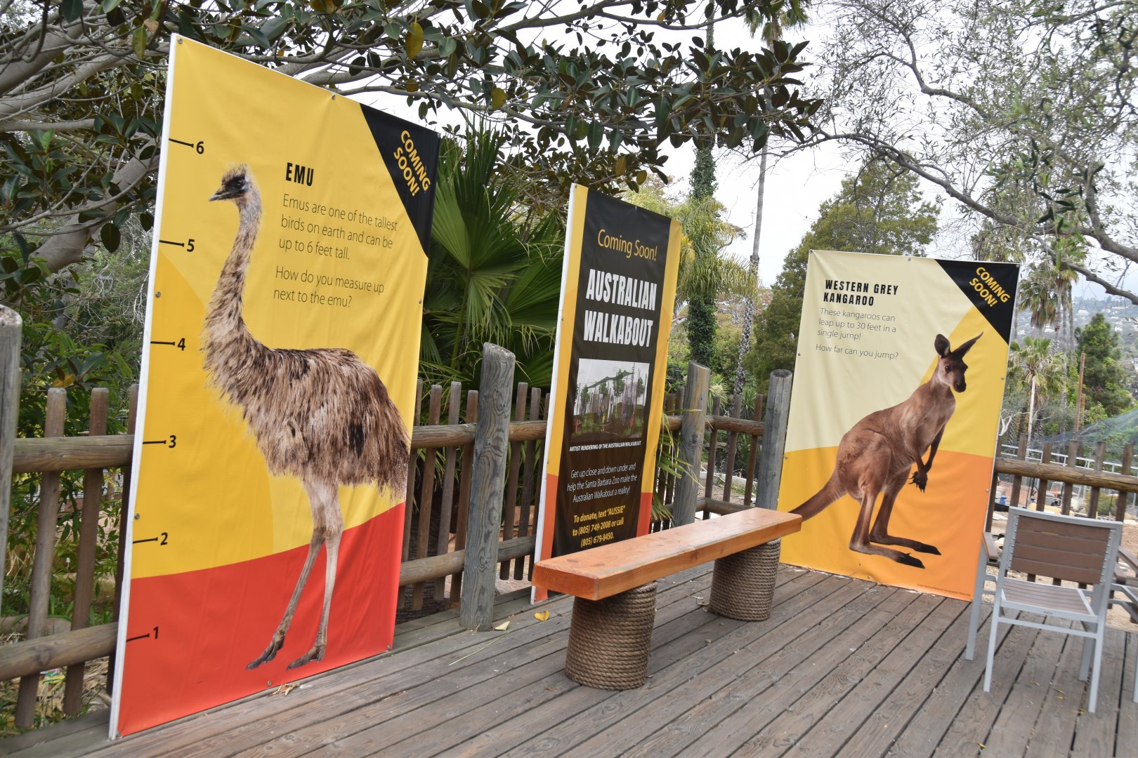 Australian walkabout upcoming animals