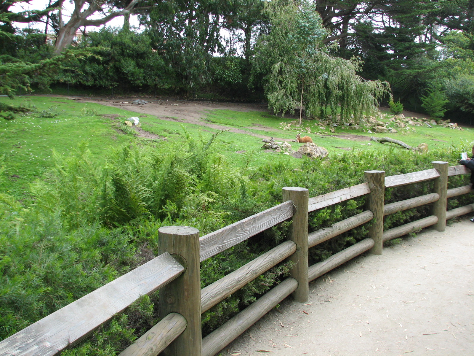 Australian Walkabout - Viewing Area