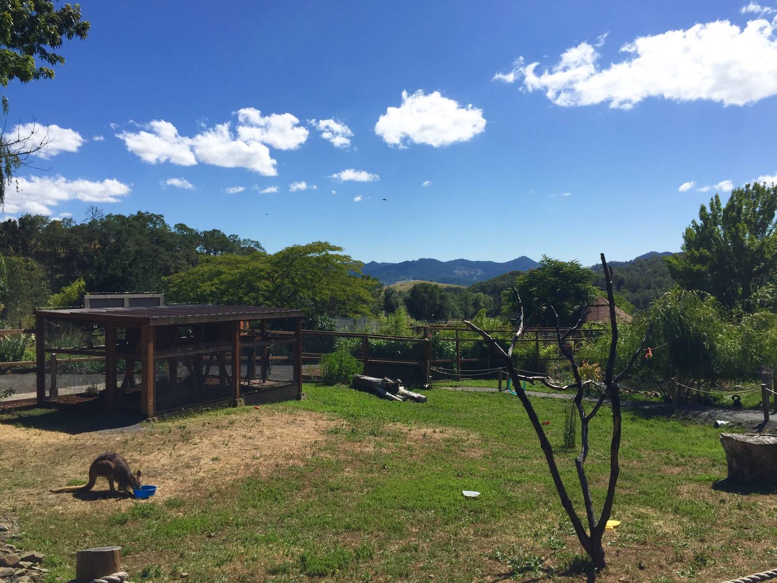 Australian Walkabout