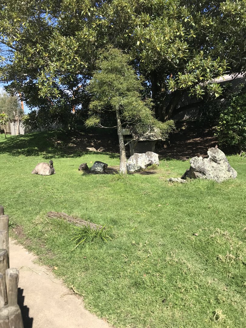 Australian Walkabout