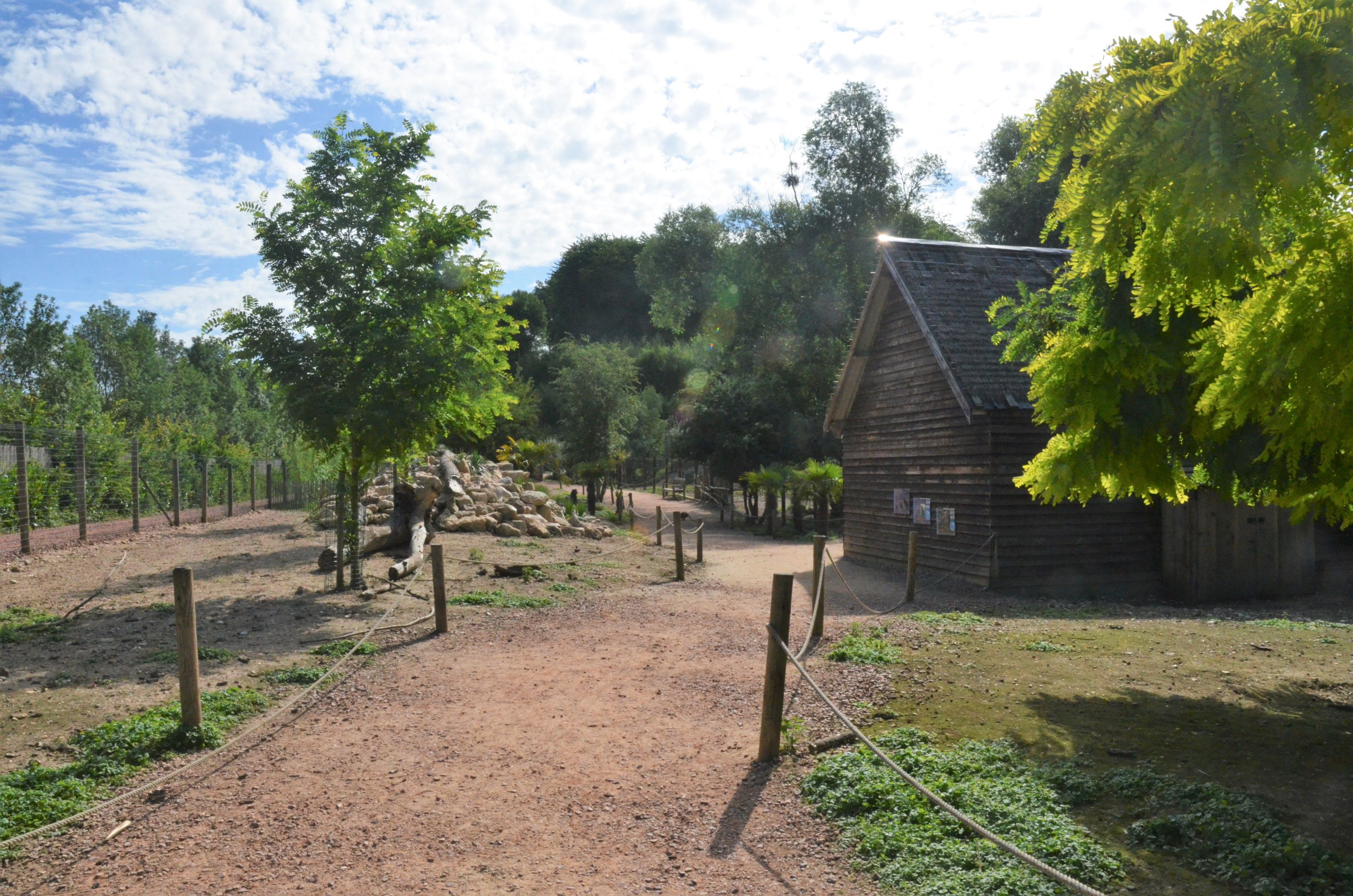 Australian Walkthough (Parma and Red-necked Wallabies, Magpie Geese) at Biotropica, 16/06/18