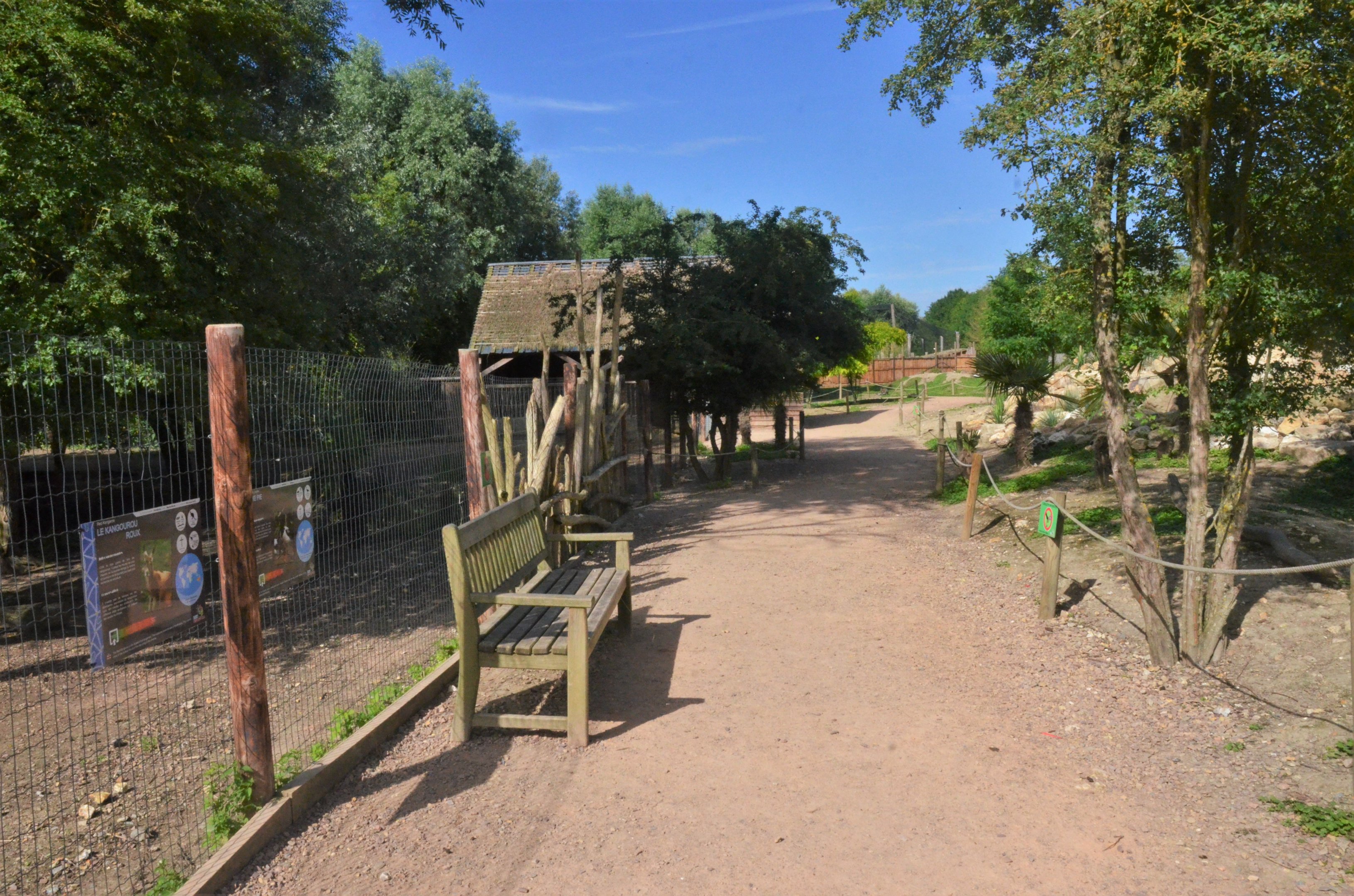 Australian Walkthough (Parma and Red-necked Wallabies, Magpie Geese) at Biotropica, 16/06/18