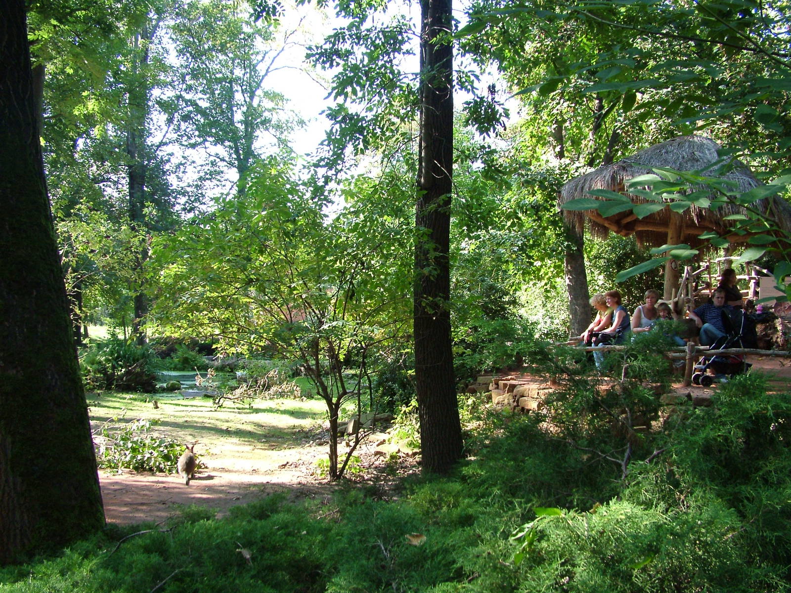 Australian Walkthrough at Leipzig, 02/09/11