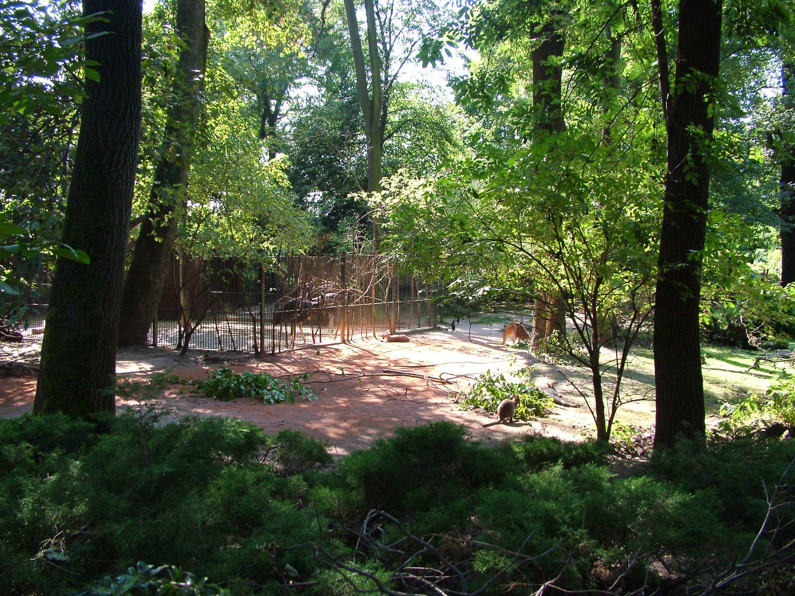 Australian Walkthrough at Leipzig, 02/09/11