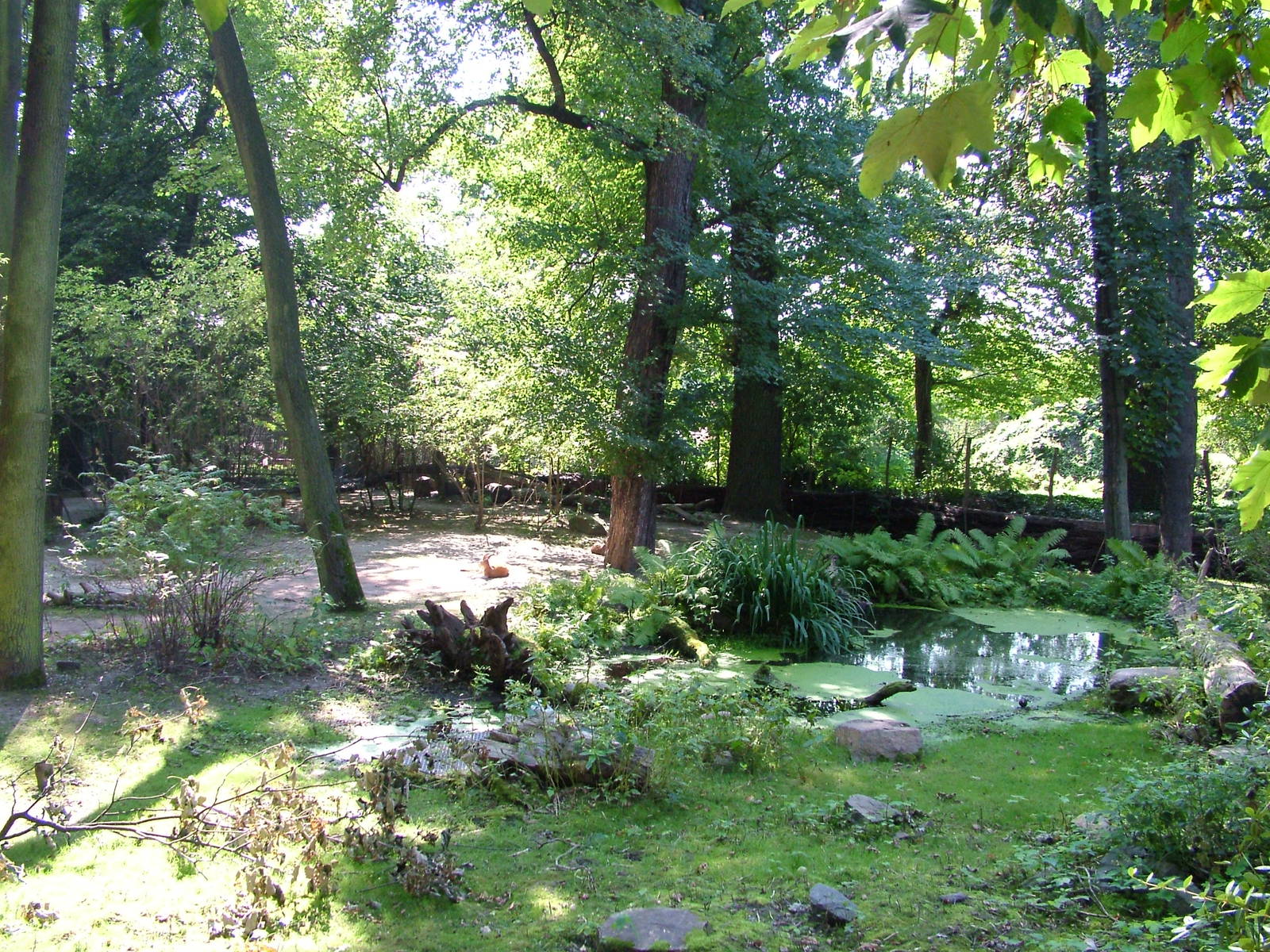Australian Walkthrough at Leipzig, 02/09/11