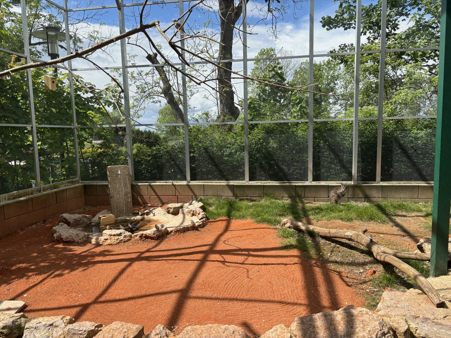 Australian Walkthrough Aviary at Zoologischer Garten Hof