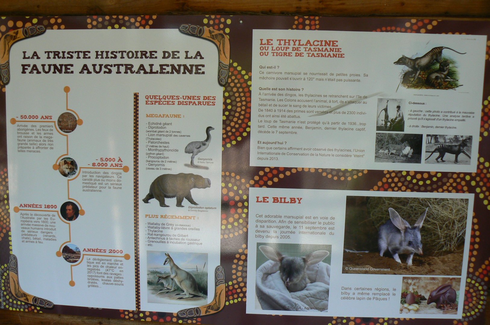 Australian walkthrough aviary - information pannel