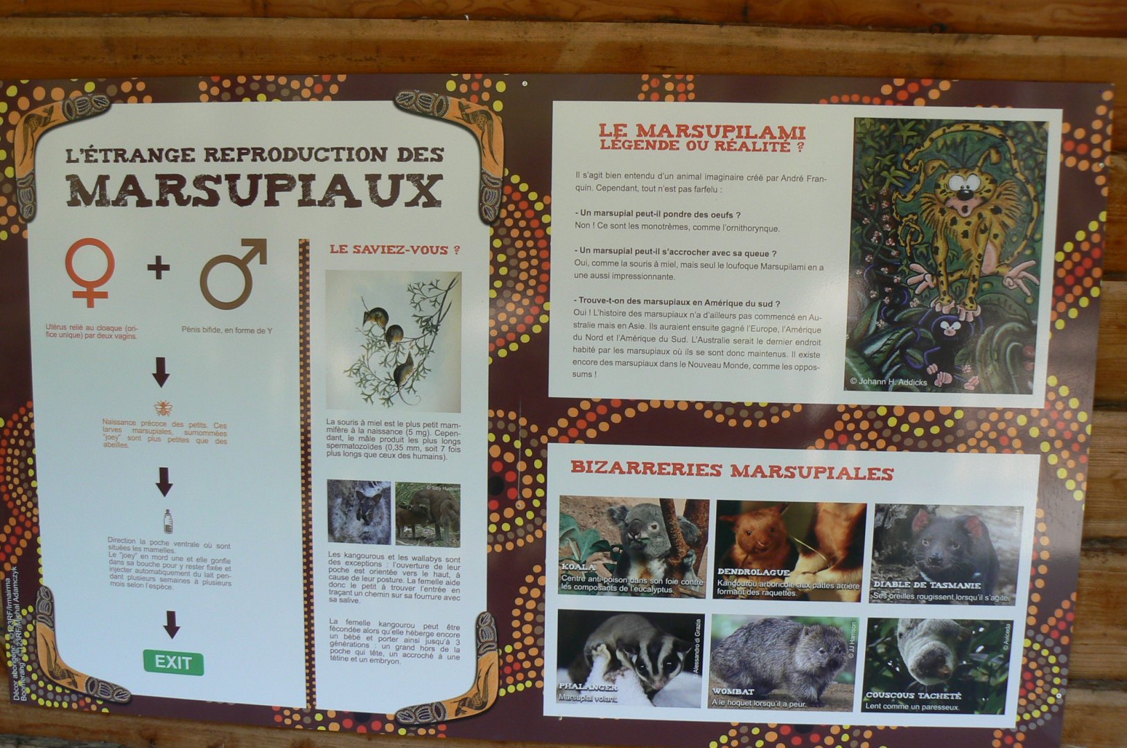 Australian walkthrough aviary - Information pannel