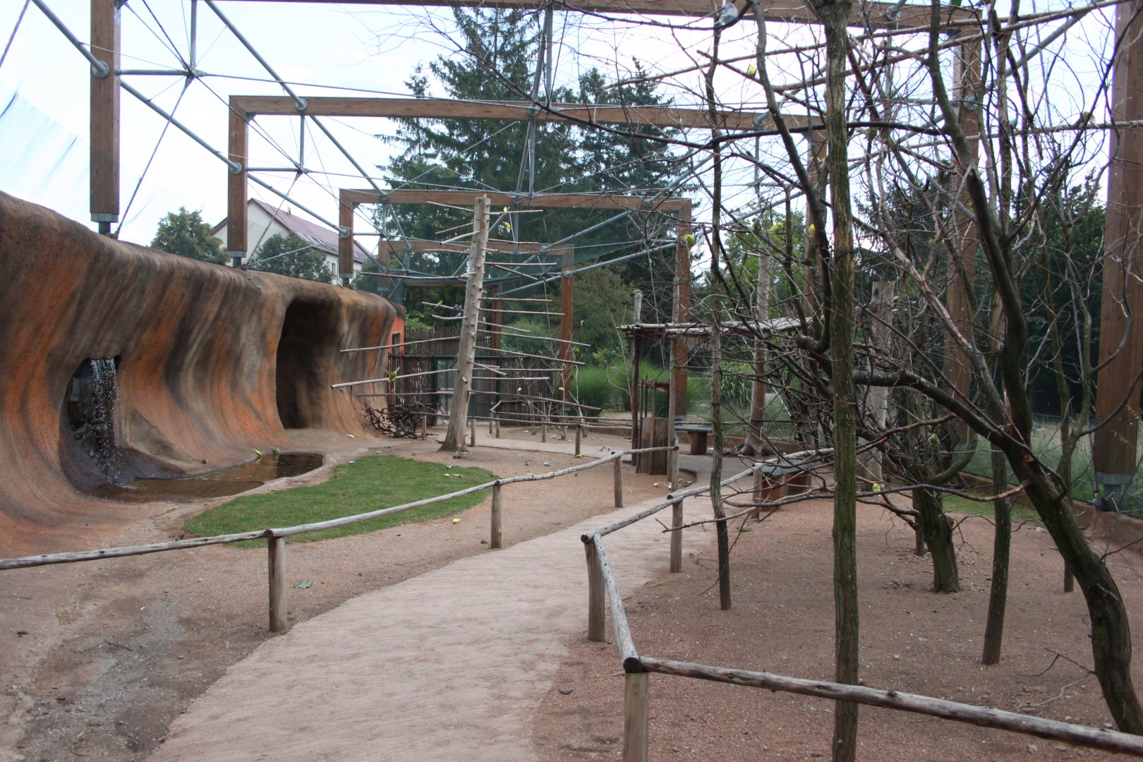 Australian walkthrough aviary - inside look