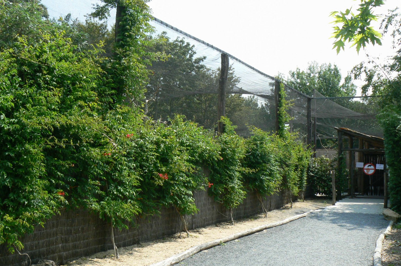 Australian walkthrough aviary - outside