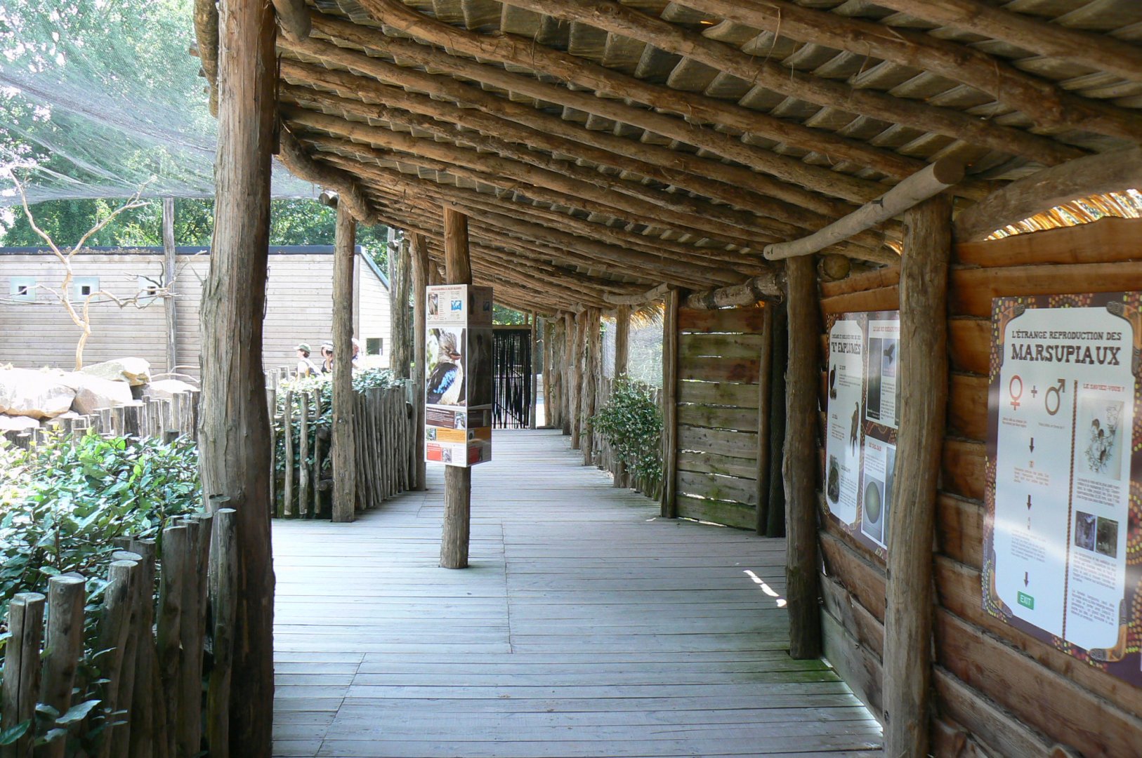 Australian walkthrough aviary - walkway