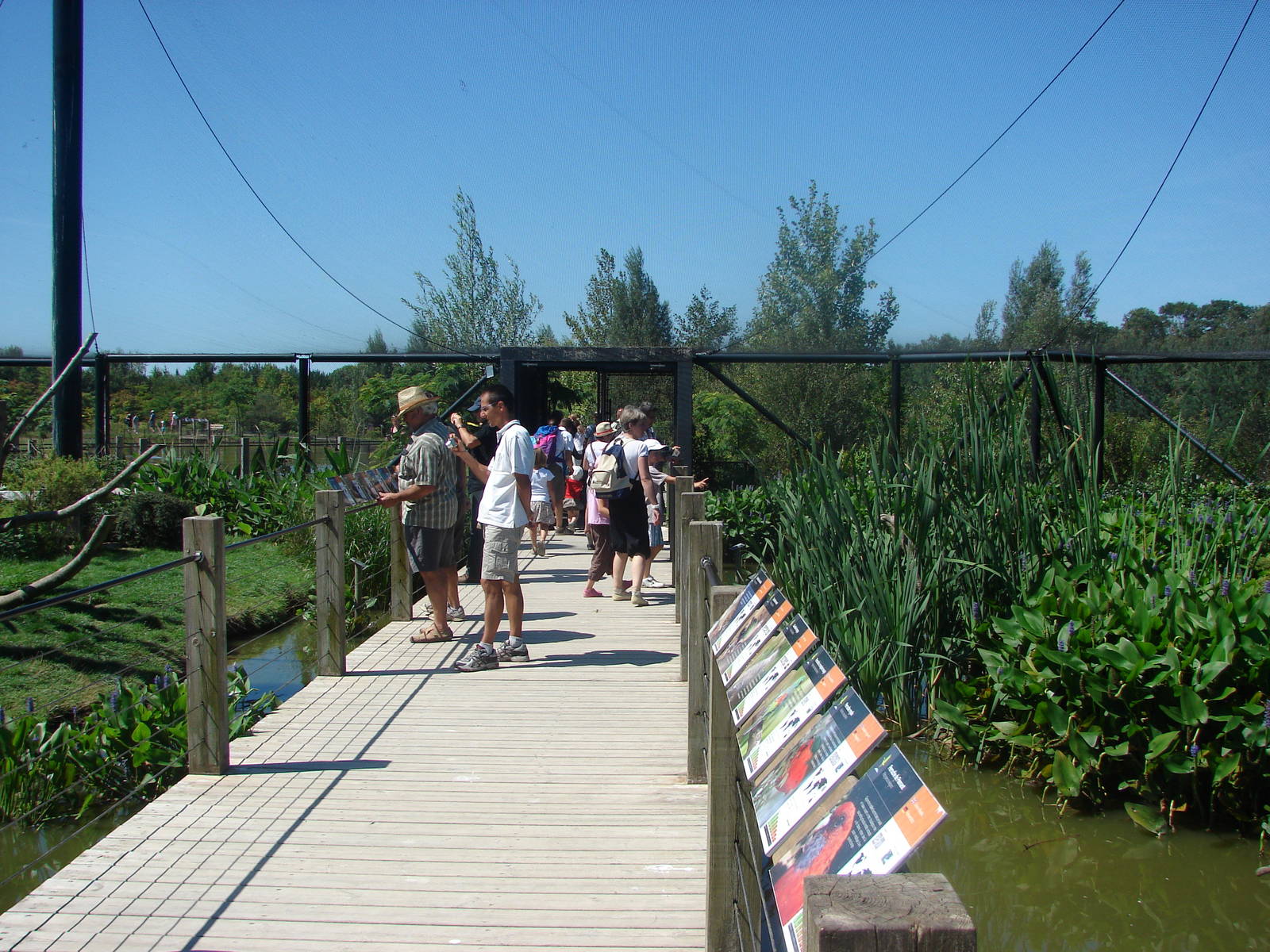 Australian walkthrough aviary