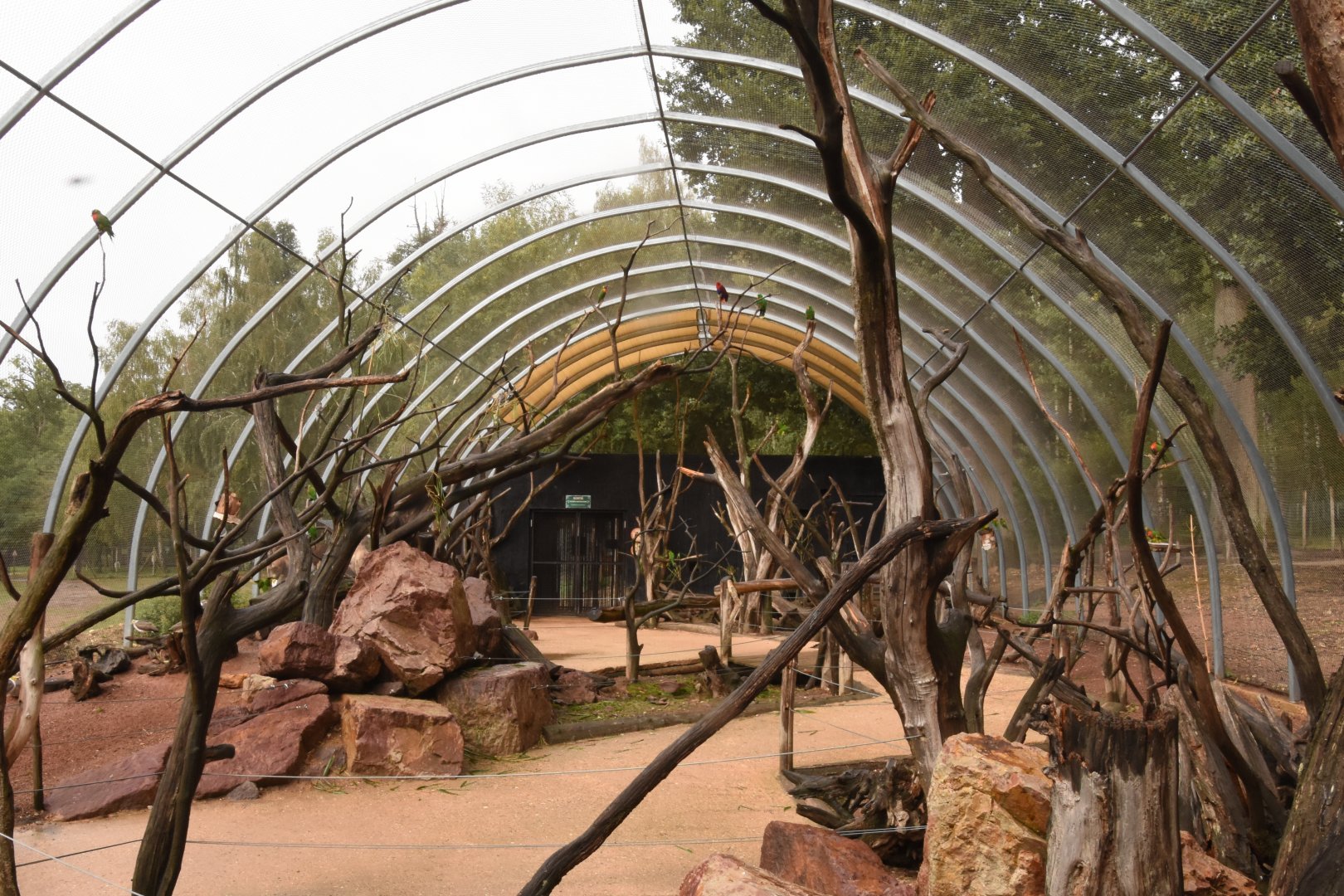 Australian walkthrough aviary