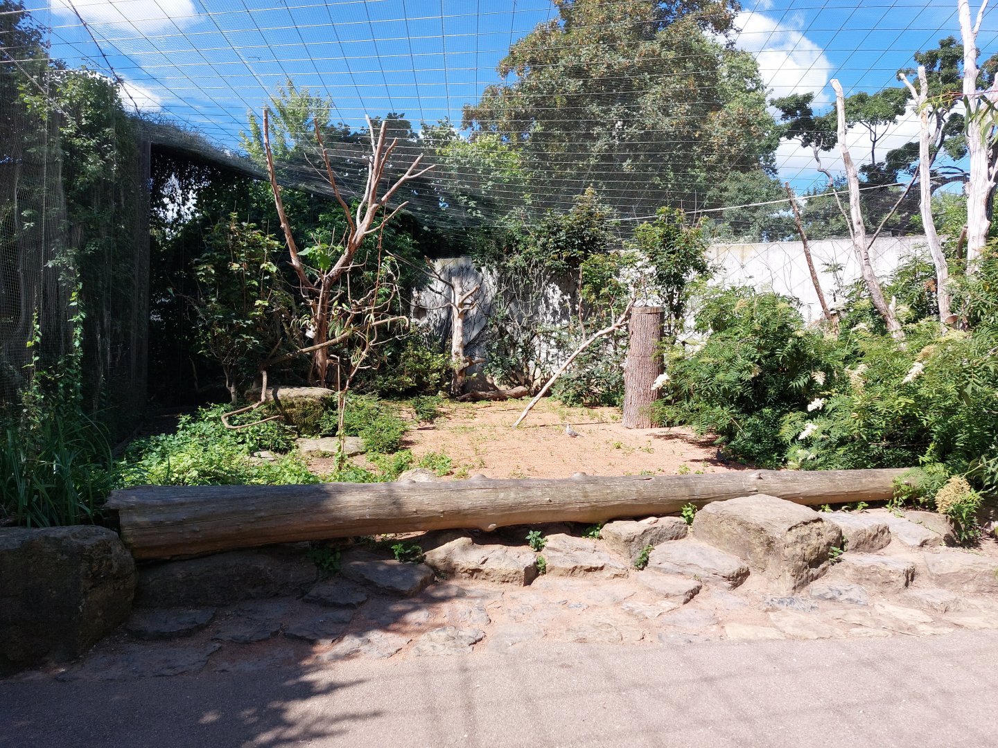 Australian walkthrough aviary