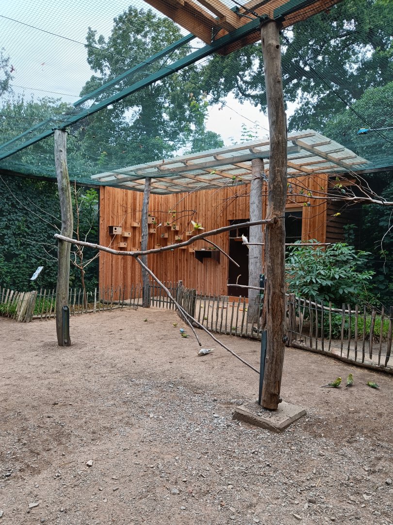 Australian walkthrough aviary