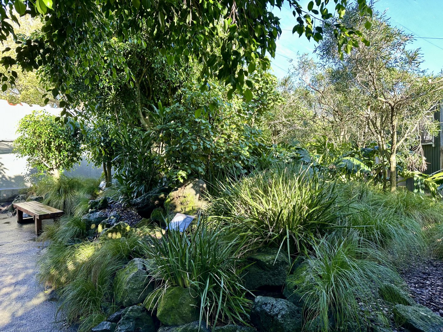 Australian Walkthrough Aviary