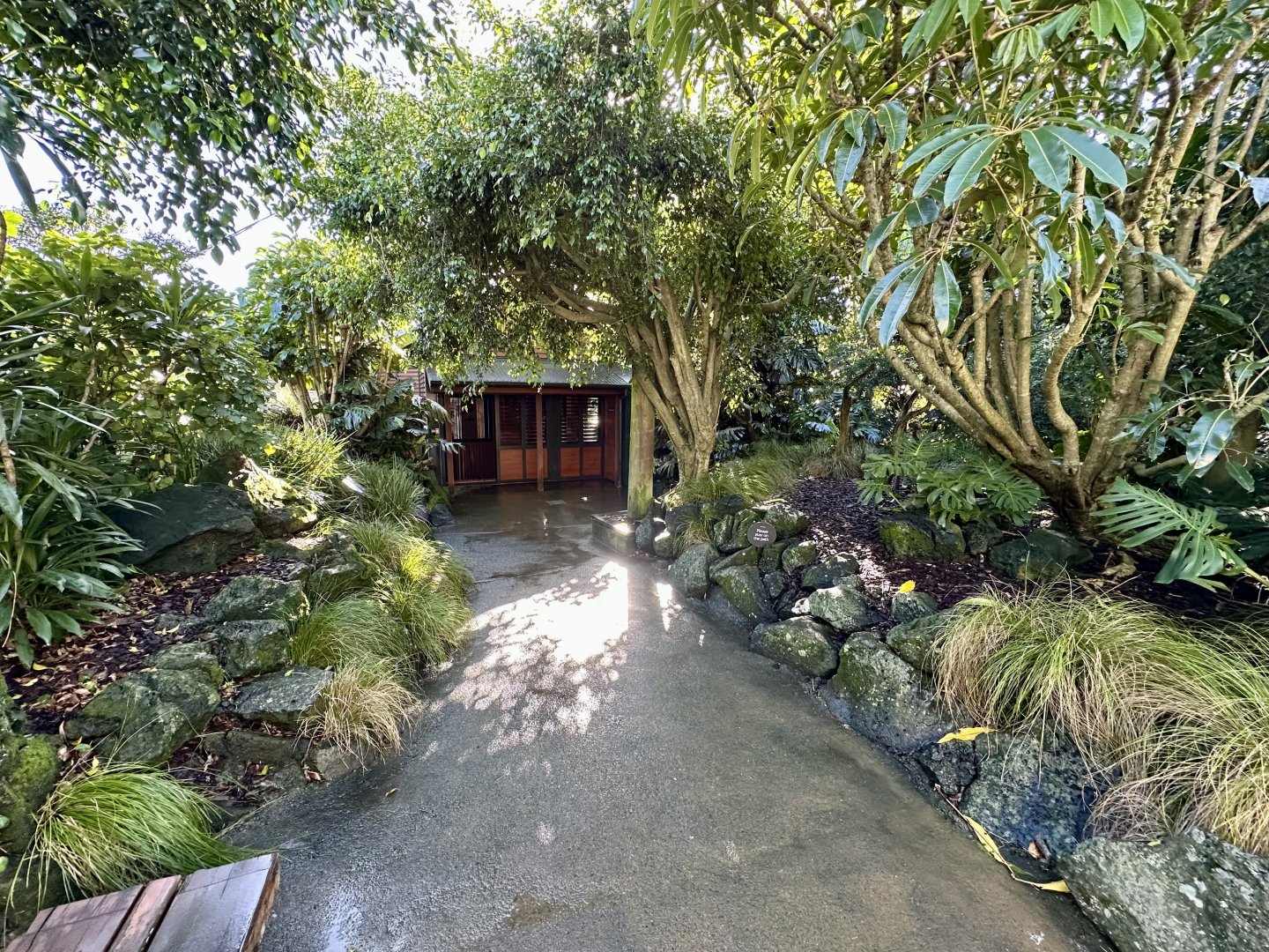 Australian Walkthrough Aviary