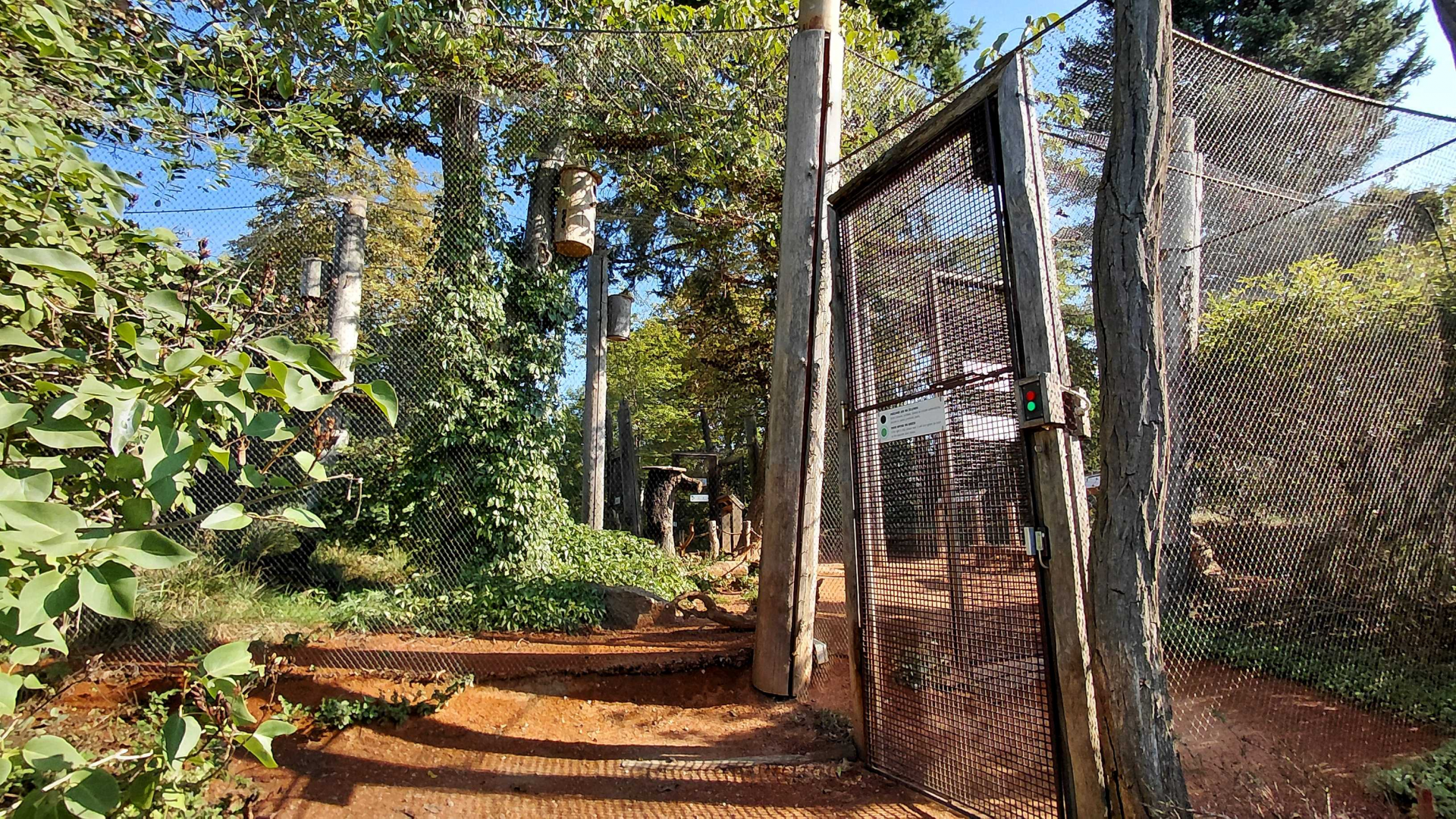 Australian walkthrough aviary