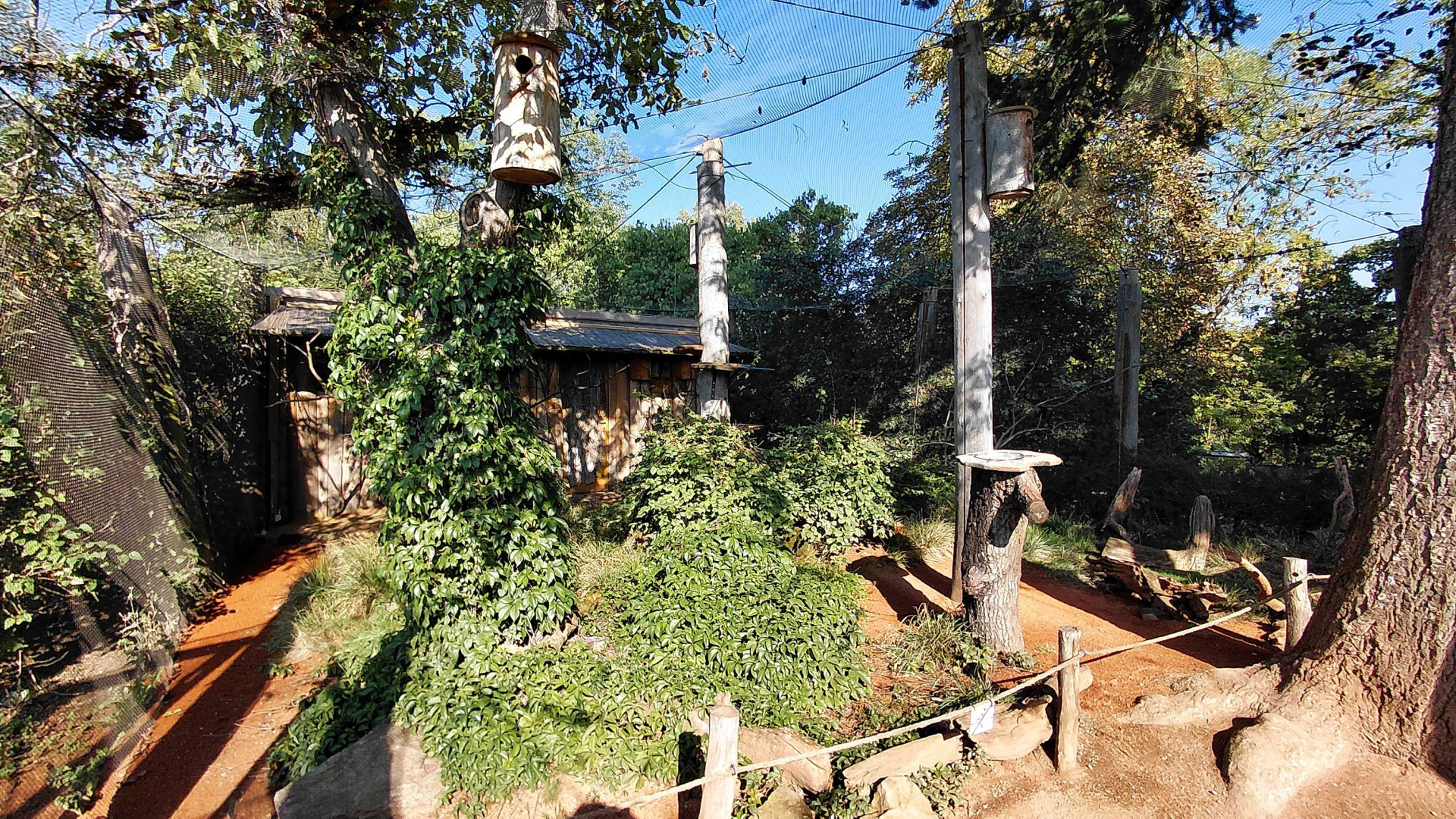 Australian walkthrough aviary